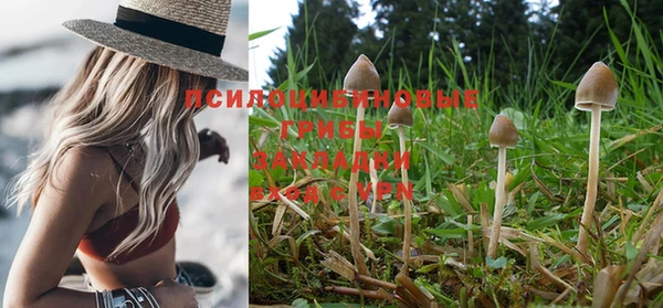 хмурый Мегион