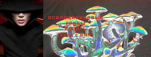 не бодяженный Михайлов