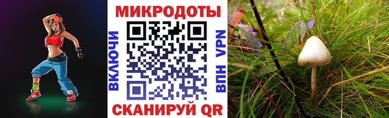 Галлюциногенные грибы прущие грибы  Змеиногорск 
