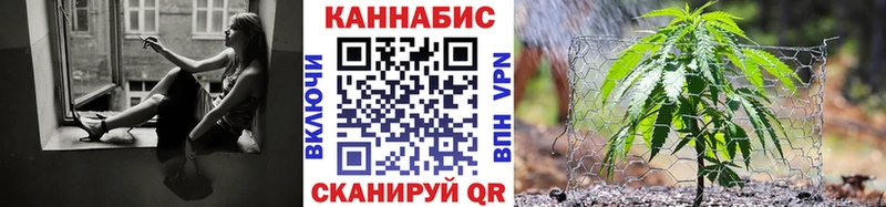 купить наркоту  Змеиногорск  Канабис SATIVA & INDICA 